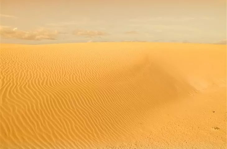 Lorlatinib Overall Survival: An In-depth Analysis