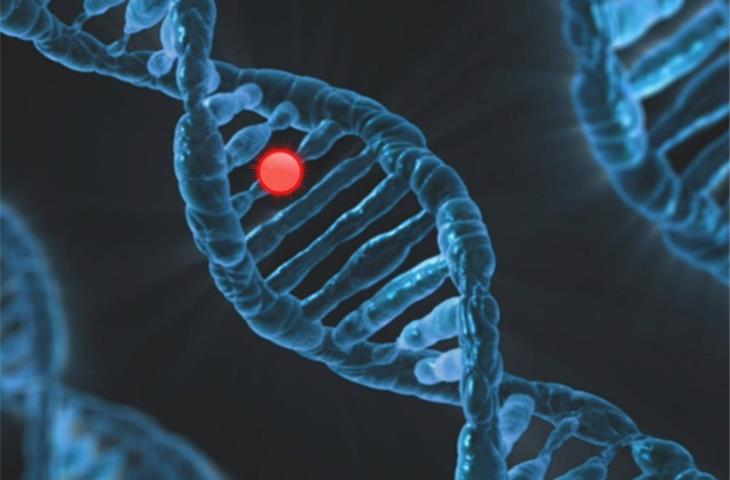 neuroblastoma alk mutation lorlatinib
